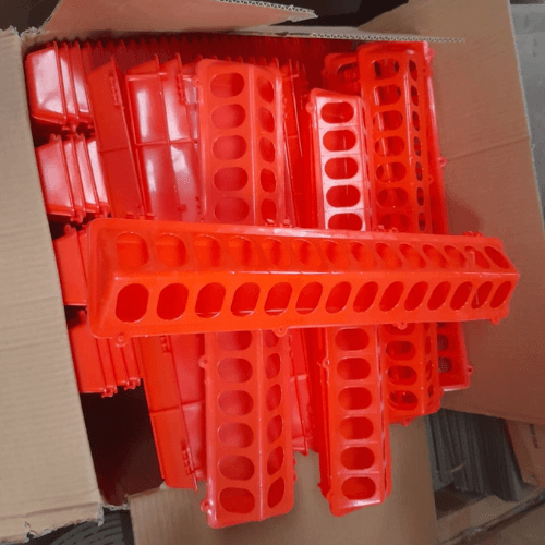 Chick's feeding trough