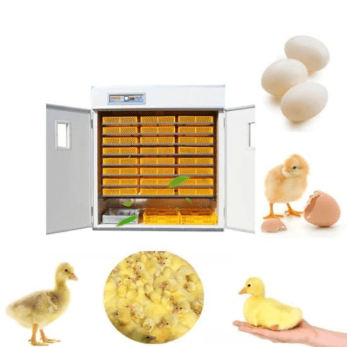 5280 Egg Incubator