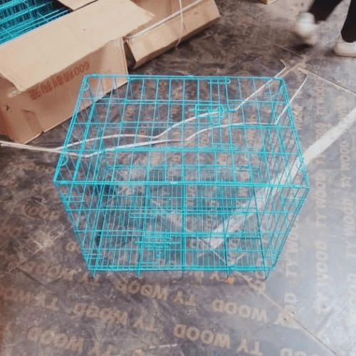 Dog Cages