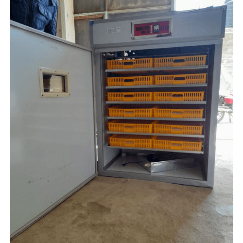 1056 Egg Incubator
