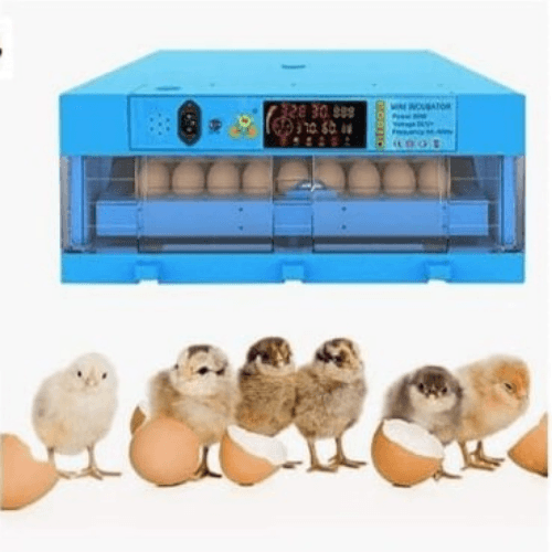 64 Egg Incubator AC/DC fully automatic