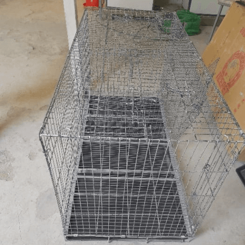 Mature Dog Cage